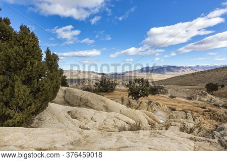 Sunny Day Among Rock Fields Trees And Desert Looking Out From Moonrocks Nevada