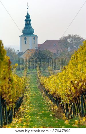 Chiesa nella vigna autunnale