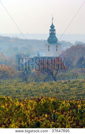 Chiesa nella vigna autunnale