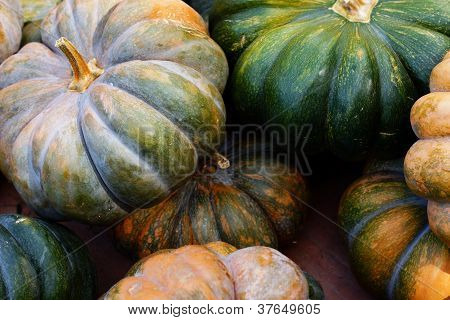 Närbild på olika färgade pumkins