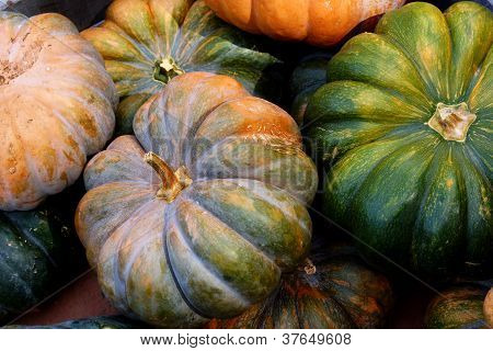 Multi färgade pumkins