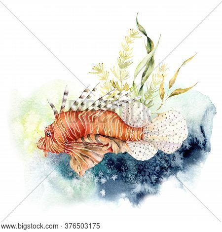 Watercolor Composition Of Lionfish And Kelp. Hand Painted Underwater Illustration With Coral Reef An