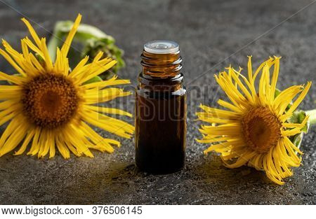 A Dark Bottle Of Elecampane Essential Oil On A Table