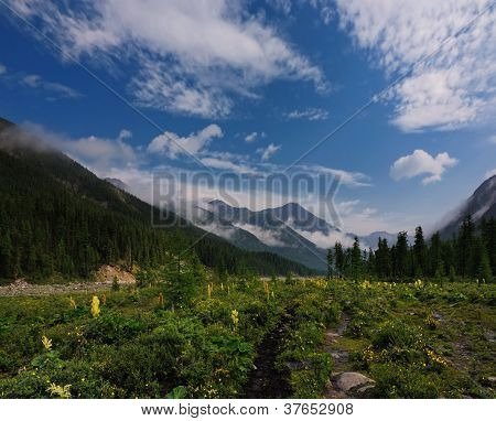 Kukkiva niitty Mountain Valley