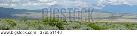 Long Valley Next The Lake Crowley, Mono County, California. Usa. Green Wetland With Mountain On The 