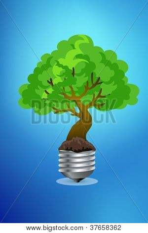 Eco koncept
