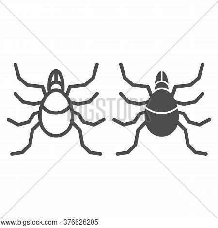 Mite Line And Solid Icon, Insects Concept, Acarus Sign On White Background, Tick Icon In Outline Sty