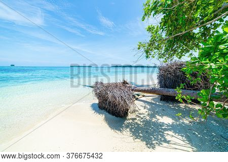 White Sand Beach With Coconut Palm Trees Turquoise Blue Water Coral Reef, Tropical Travel Destinatio