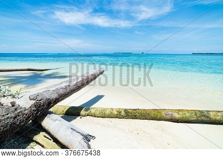 White Sand Beach With Coconut Palm Trees Turquoise Blue Water Coral Reef, Tropical Travel Destinatio