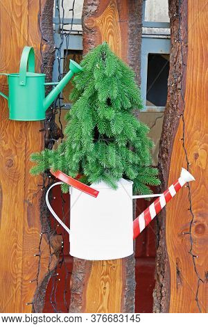 An Artificial Coniferous Tree In A Red-white Watering Can Hanging On A Wooden Fence With A Garland