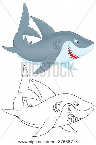 サメ