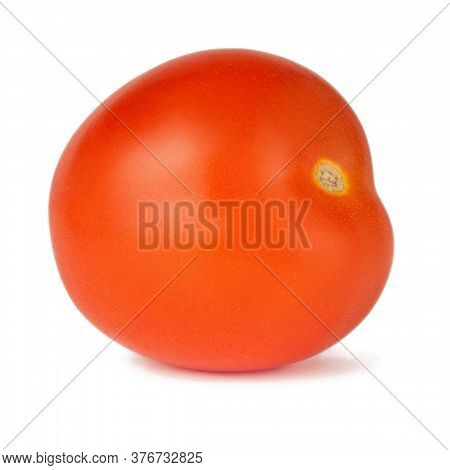 Tomato Solanaceous Garden Plant Isolated On A White Background.