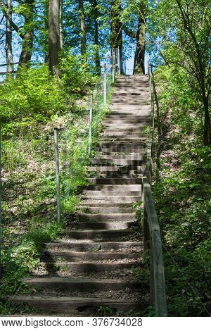 Forest Trail, Hiking Trail In Neandertal With Steep Stairs