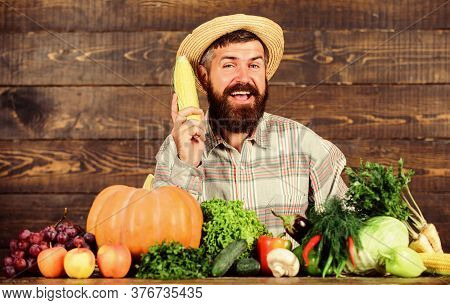 Farmer Presenting Organic Homegrown Vegetables. Grow Organic Crops. Community Gardens And Farms. Hea