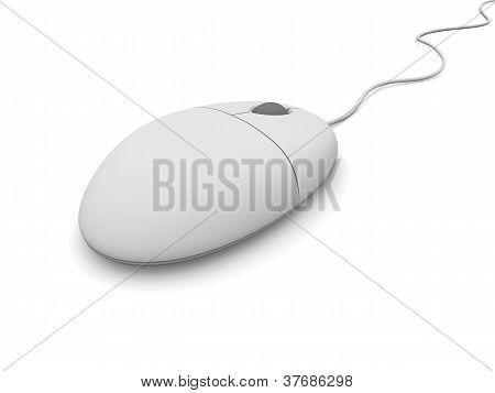 Computer Mouse