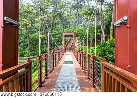 The Wooden Suspension Bridge On The Rock Cilff In Haeundae Dongbaekseom Island Near Haehundae Beach.