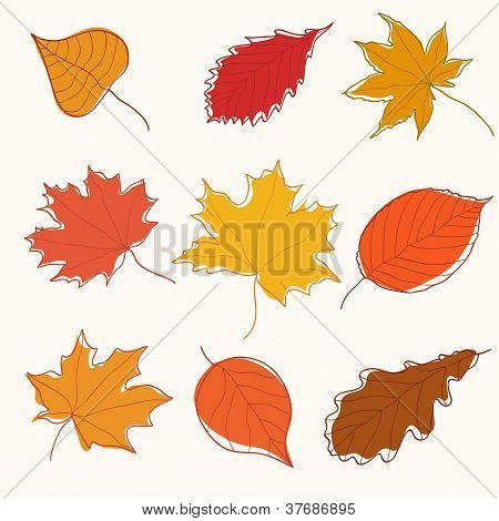 Set di doodle autunno foglie