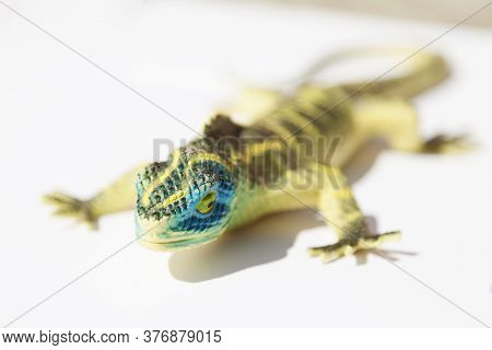 Plastic Lizard Lying On Light Background And Sunbathing