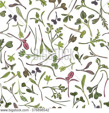 Seamless Pattern. Hand Drawn Rainbow Chard Micro Greens. Chard, Radish, Beet,carrot, Cabbage. Vector