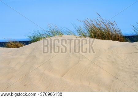 Fine Sand Dune With Typical Vegetation And In The Background The Intense Blue Of The Sea