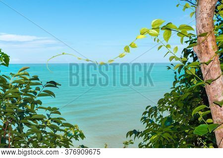 Koh Proet Island,the Trees And Green Leaves With The Backdrop Of The Emerald Green Sea And The Brigh