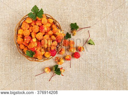 Cloudberry In A Basket On A Background Of Burlap. Healthy Diet. Collecting Forest Ripe Cloudberries 
