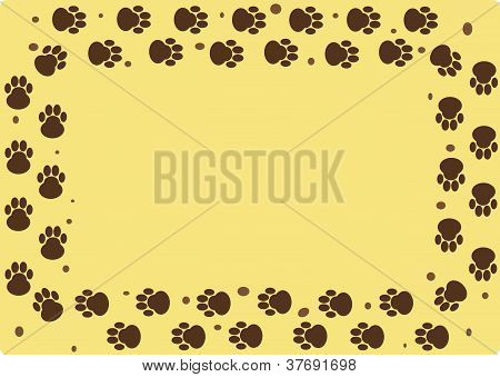 Dog Muddy Tracks