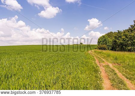 Agricultural Landscape In Sunny Day In Czerna (poland)