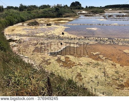 View Of The Famous Salt Marshes Of Guerande, France