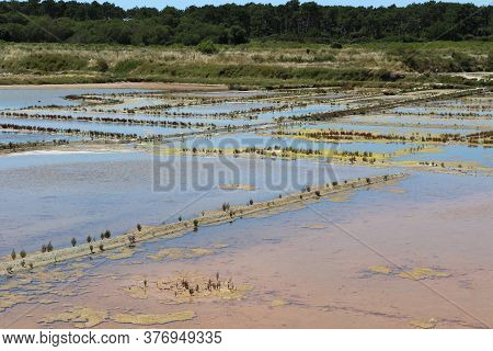 View Of The Famous Salt Marshes Of Guerande, France