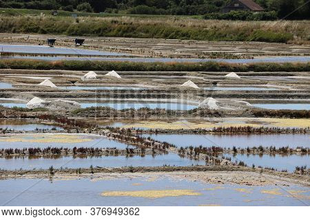 View Of The Famous Salt Marshes Of Guerande, France