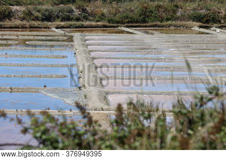 View Of The Famous Salt Marshes Of Guerande, France