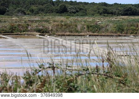 View Of The Famous Salt Marshes Of Guerande, France