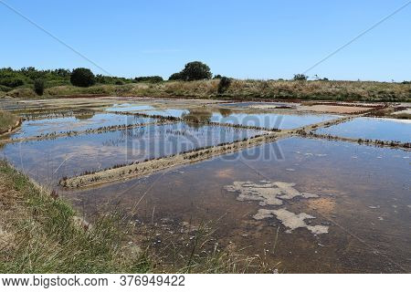 View Of The Famous Salt Marshes Of Guerande, France