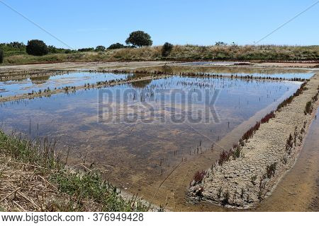 View Of The Famous Salt Marshes Of Guerande, France