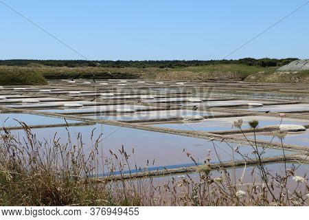 View Of The Famous Salt Marshes Of Guerande, France
