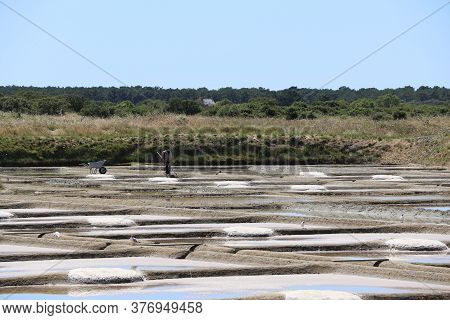 View Of The Famous Salt Marshes Of Guerande, France