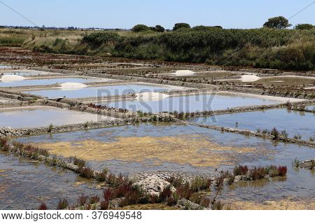 View Of The Famous Salt Marshes Of Guerande, France