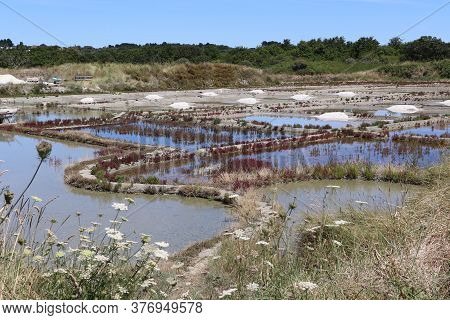 View Of The Famous Salt Marshes Of Guerande, France