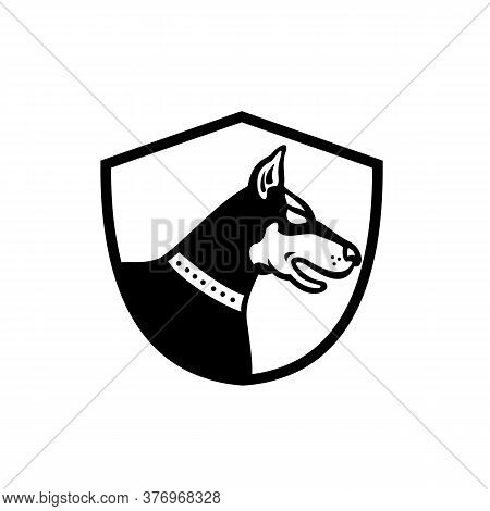 Illustration Of A Head Of A Doberman Pinscher Guard Dog Viewed From Side Set Inside Shield Crest Sha