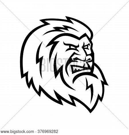 Mascot Icon Illustration Of Head Of A Yeti Or Abominable Snowman, An Ape-like Entity, Mythical Or Le