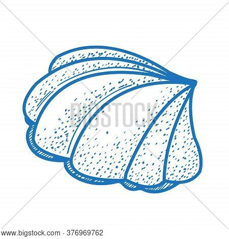 Big Seashell Logo In Cartoon Style. The Elements For Infographics With A Hand-drawing Style.