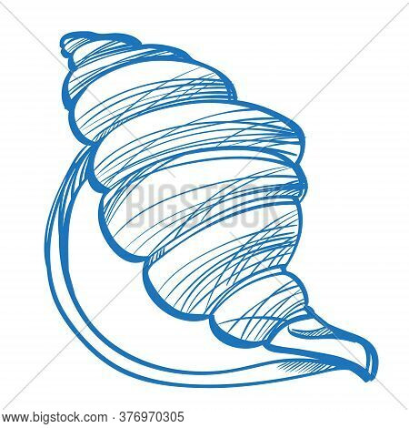 Big Seashell Logo In Cartoon Style. The Elements For Infographics With A Hand-drawing Style.