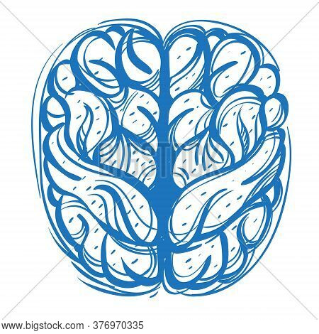 The Human Brain Is A Top View Of A Sketch Of The Logo. Element For Infographics In The Hand Drawing 