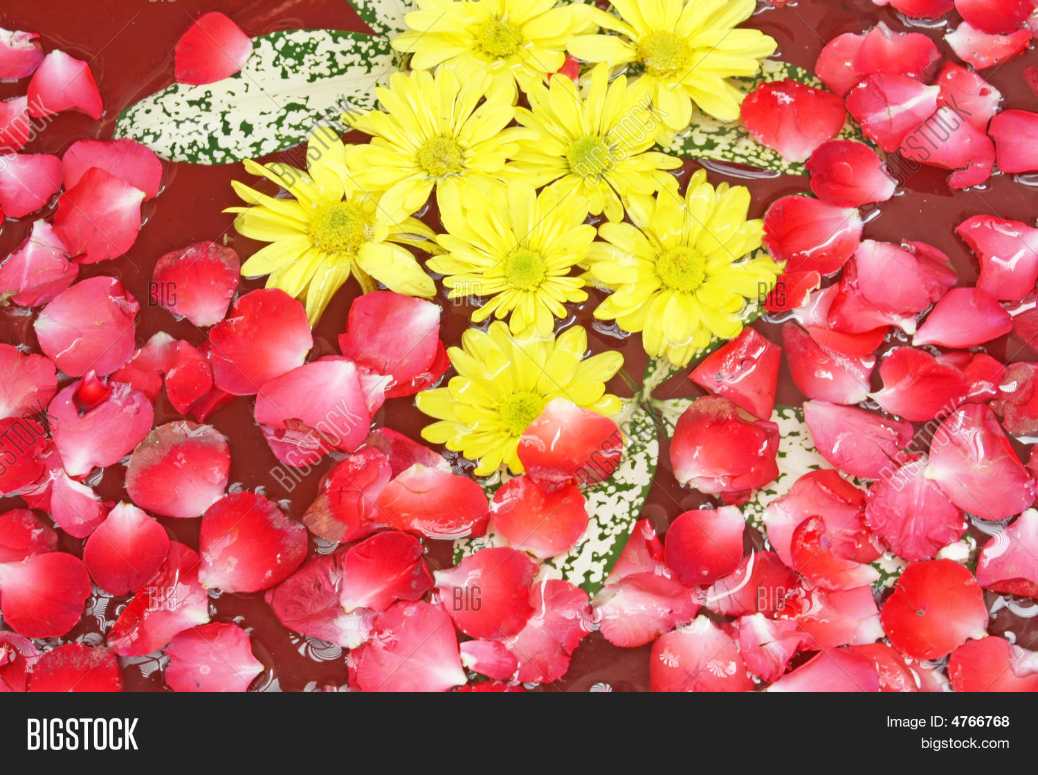Spa Relaxation Flowers Image & Photo (Free Trial) Bigstock
