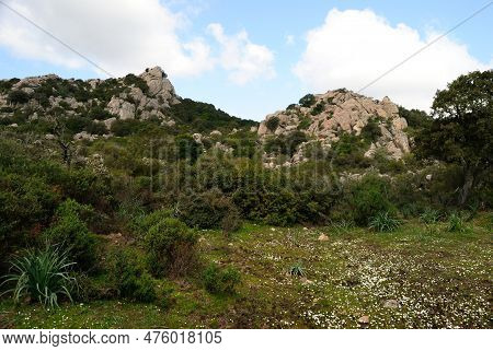 View Of The Forest Of Santa Degna