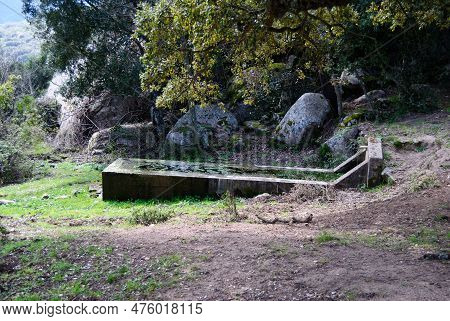 Fountain In The Santa Degna Forest, Aggius