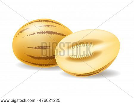 Pepino Fruit Realistic Illustration. Solanum Muricatum Isolated, Pepinos Dulce Fruits Vector Graphic