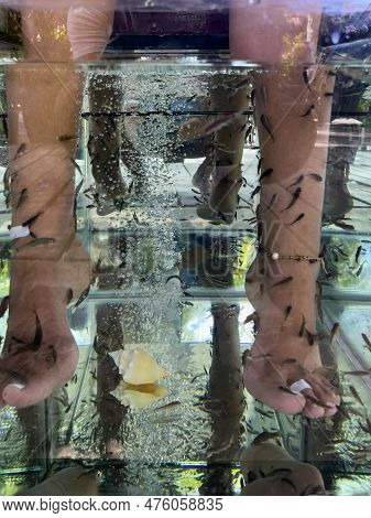 Young Woman's Feet Immersed In A Water Tank Where Fish Called 