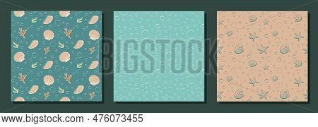 Seamless Pattern Set With Shells. Vector Illustration. Sea Clums Seamless Pattern. Tropical Underwat